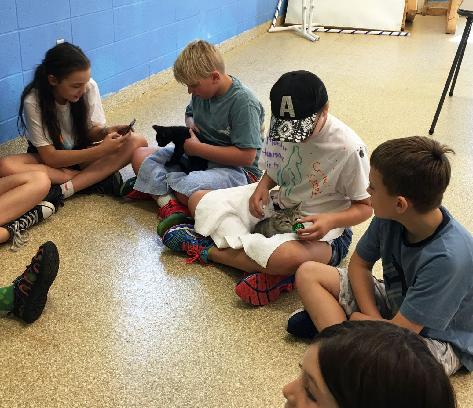 calumet area humane society