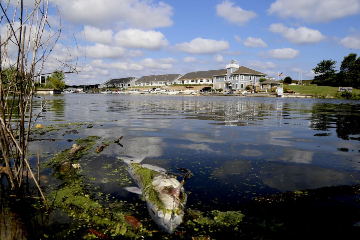 Groups sue ArcelorMittal over August fish kill, other alleged permit violations