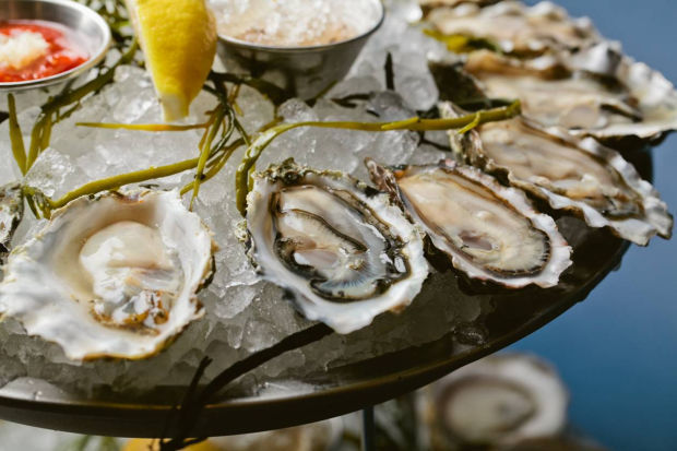 Shell sensation: Oysters are traditional menu fare for holiday recipes