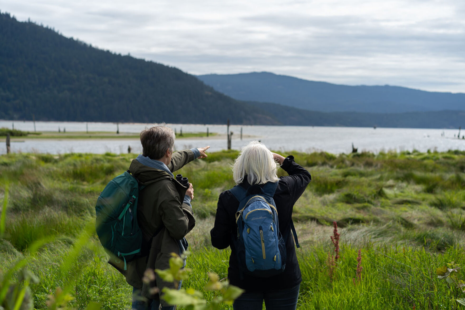 Best Birding Spots in the Northwest Features nwtravelmag