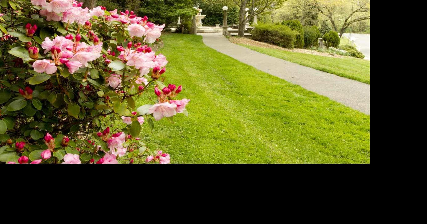 Take a Spring Trip to Ashland, Oregon | Archives | nwtravelmag.com