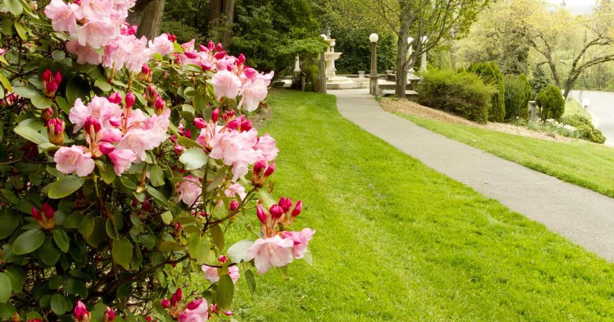 Spring Ashland Take a Spring Trip to Ashland, Oregon | Archives | nwtravelmag.com