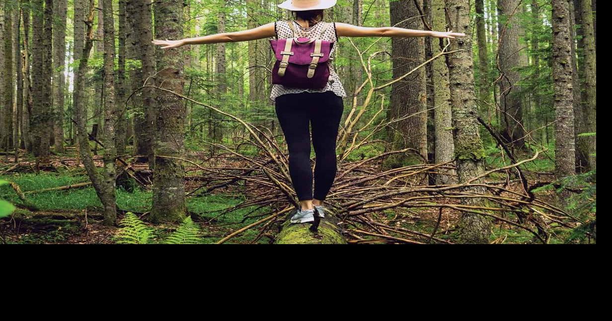 Bask in Traditional Japanese Forest Bathing on Oregon’s Adventure Coast ...