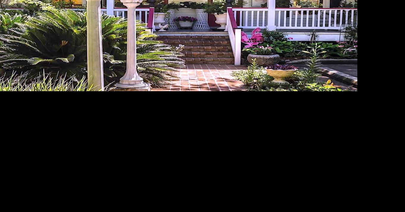 Pink Rooster Mystery Solved Through Swift Neighbors and Police Response ...