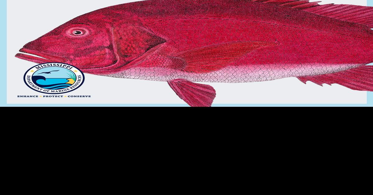 MDMR Announces Mississippi’s Red Snapper Season Opening Dates