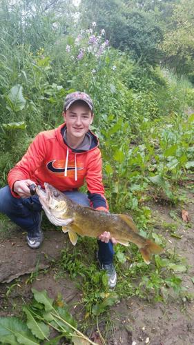 Monster walleye from Olean Creek, Sports