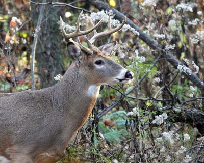 Iowa hunting, fishing license sales begin Dec. 15