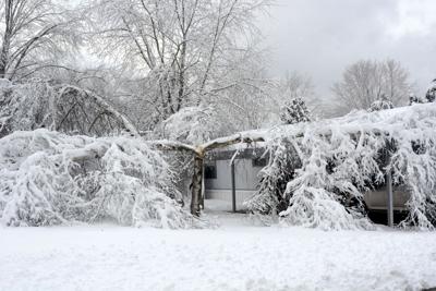 Winter Storm Knocks Out Power Across Cattaraugus Allegany Counties News Oleantimesherald Com