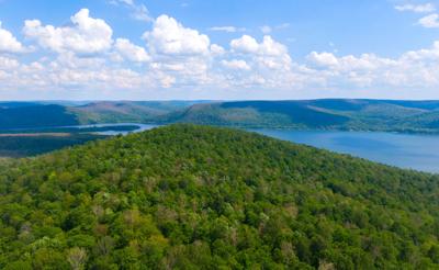 WNY Land Conservancy sets virtual event to 'Save Allegany Wildlands'