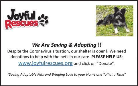 Joyful Rescues Ads To Go Oleantimesherald Com