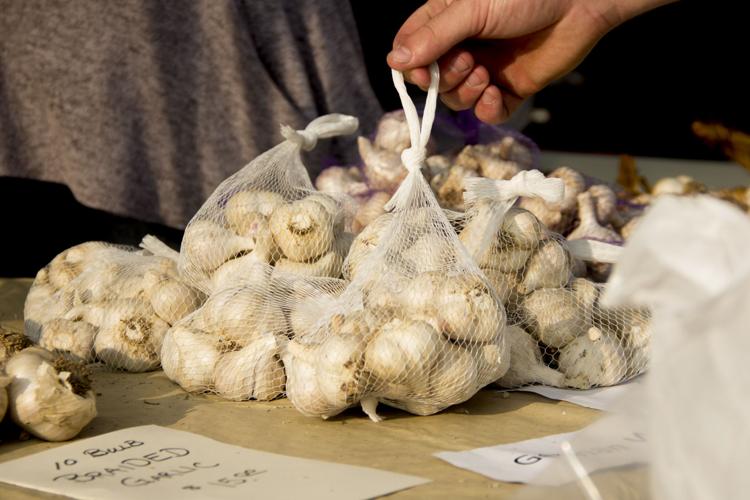 Cuba Garlic Festival Gallery