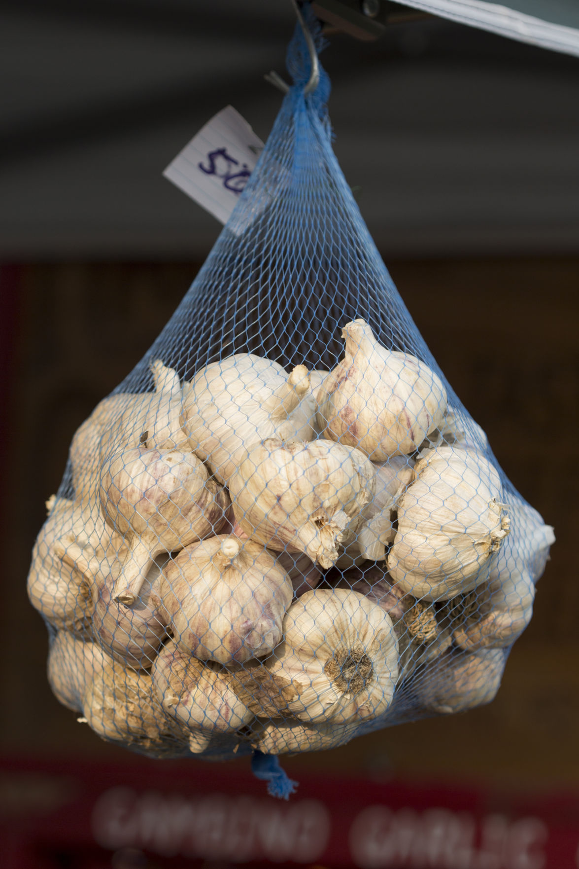 Cuba Garlic Festival Gallery