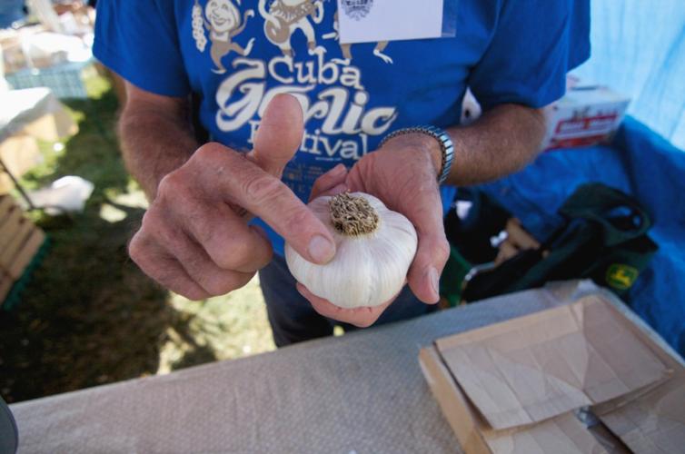 Cuba Garlic Festival News