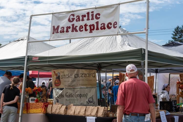 Scenes from the Cuba Garlic Festival News