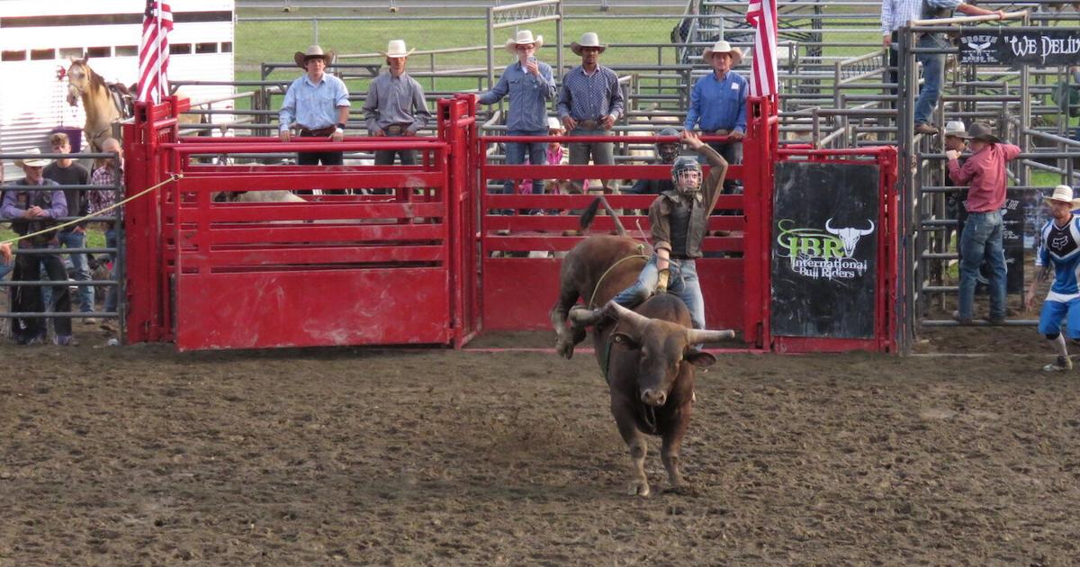 Catt County Fair 2025