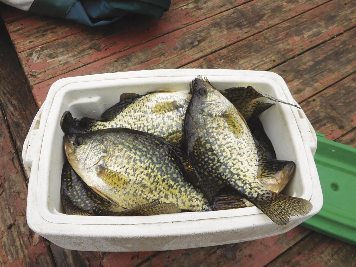 A loud spring morning and breaking the ice on crappies