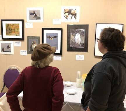 State & Union: Dan Jordan's wildlife photo exhibit opens in library | News  