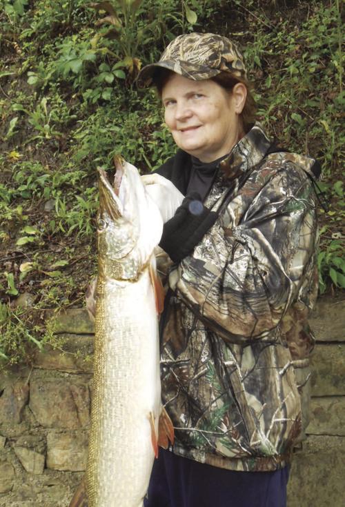 Handle Northern Pike With Care Outdoors Oleantimesherald Com