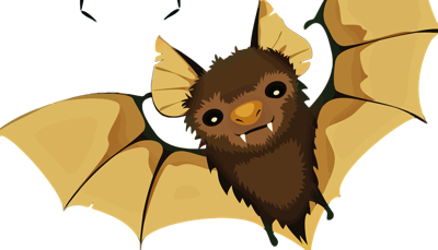 Health Department Advises Capture That Bat In Home News Bat