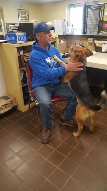 Spca Update Honey Bear Needs A Home News Oleantimesherald Com