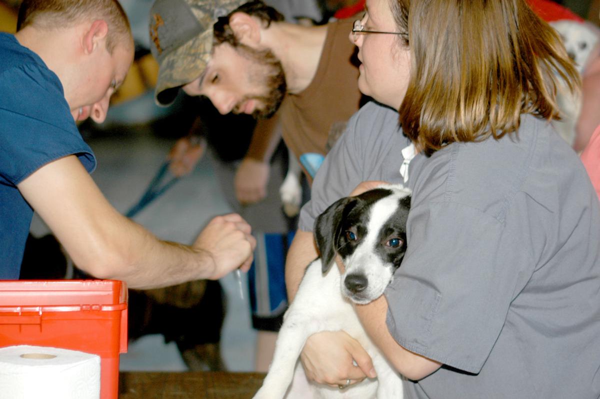 Free Rabies pet vaccination clinic Saturday, Oct. 27 News