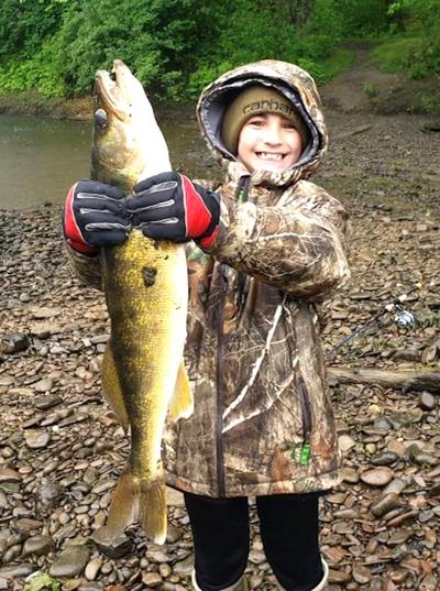 Monster walleye on the Allegheny