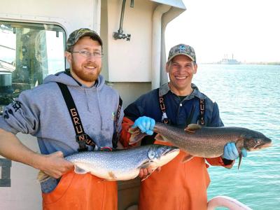 Lake trout fry found in Lake Erie for first time in six decades