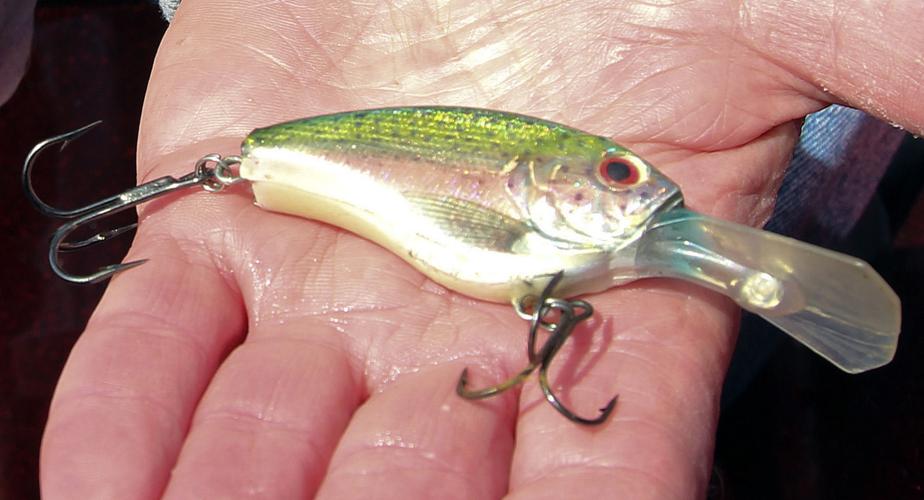 Buy Wholesale Fishing Lure Blanks For A Secure Catch 