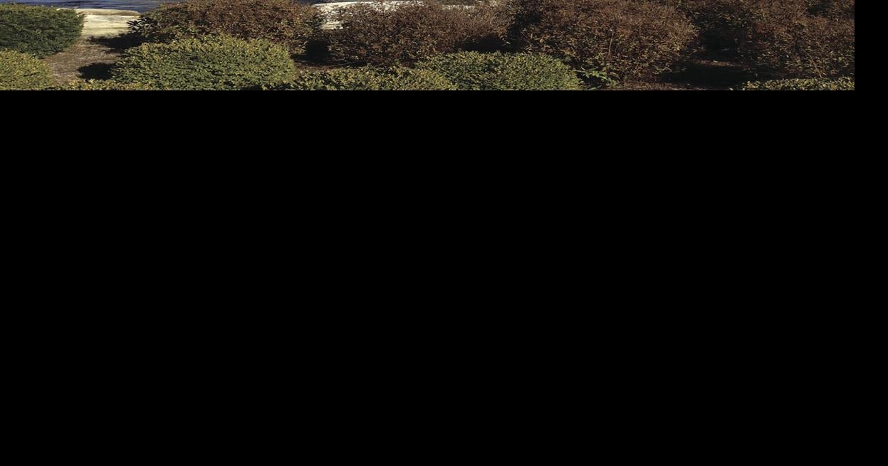 Seneca Allegany Christmas Market 2022 Senecas Plan Phased Reopening Of Casinos, Other Gaming Sites Next Month |  News | Oleantimesherald.com