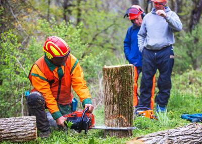 CCE of Cattaraugus County to host chainsaw safety certification course