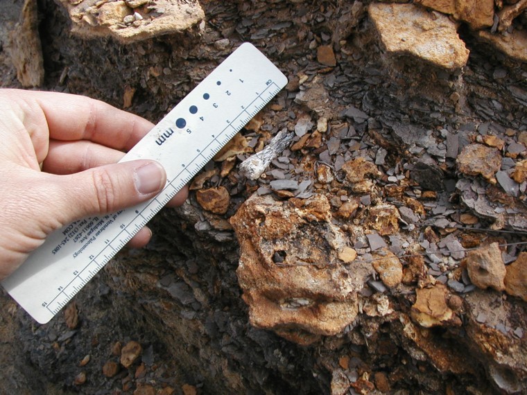 Fossil clearance fountain gate