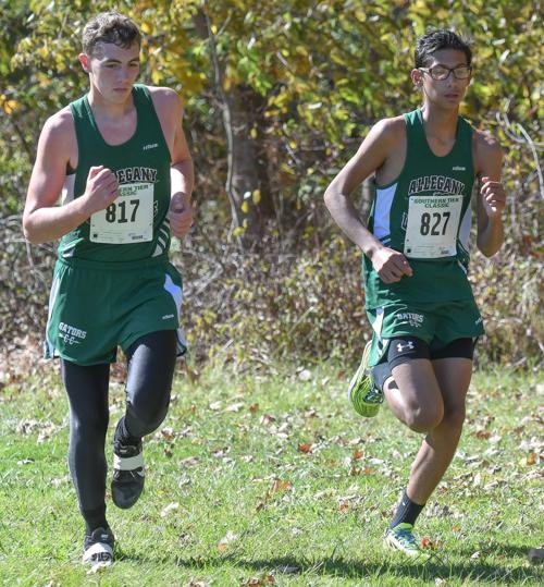 A-L cross country fares well at Southern Tier Classic