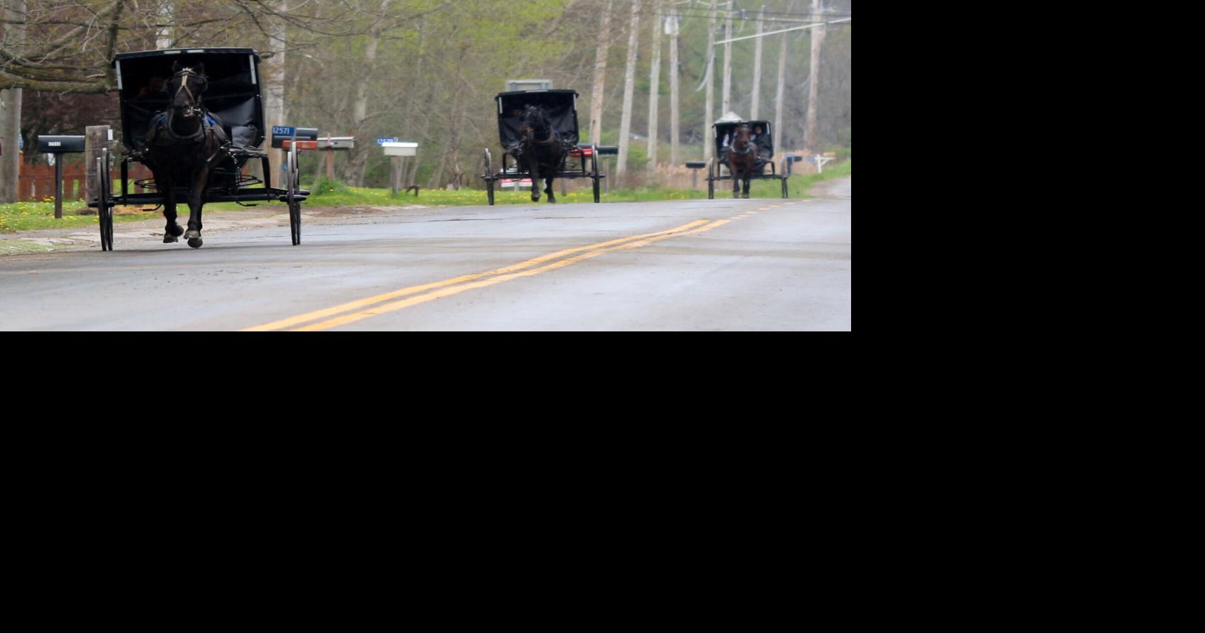 Town of Conewango turns 200 years old News