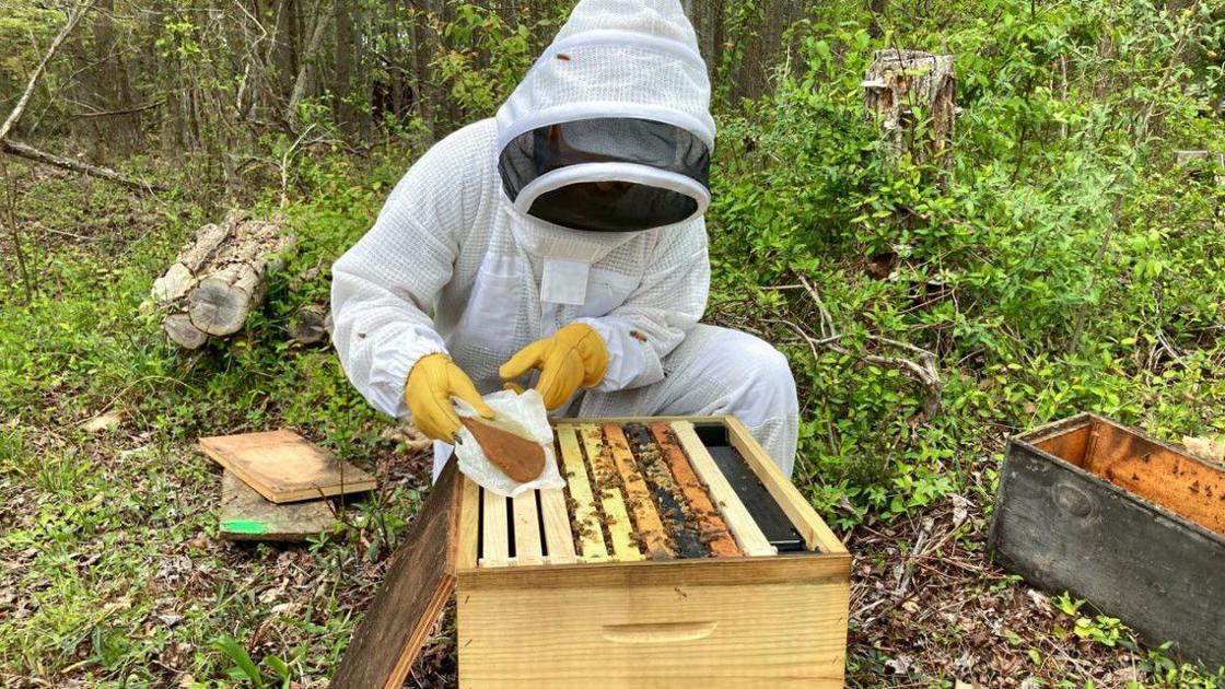2022 Iowa Stat Fair Apiary