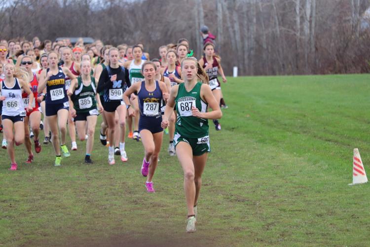 Napoleon repeats as state XC champion Sports