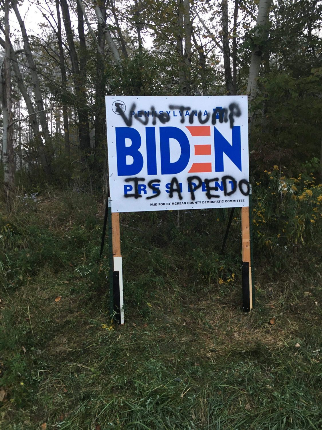 Political Sign Theft, Vandalism Reportedly Rampant In McKean County ...