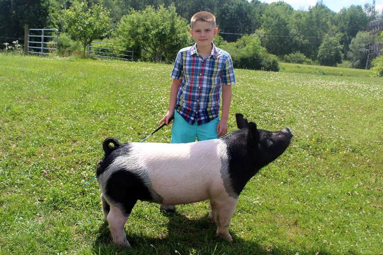Cattaraugus County 4-H Market Animal Sale going online Friday