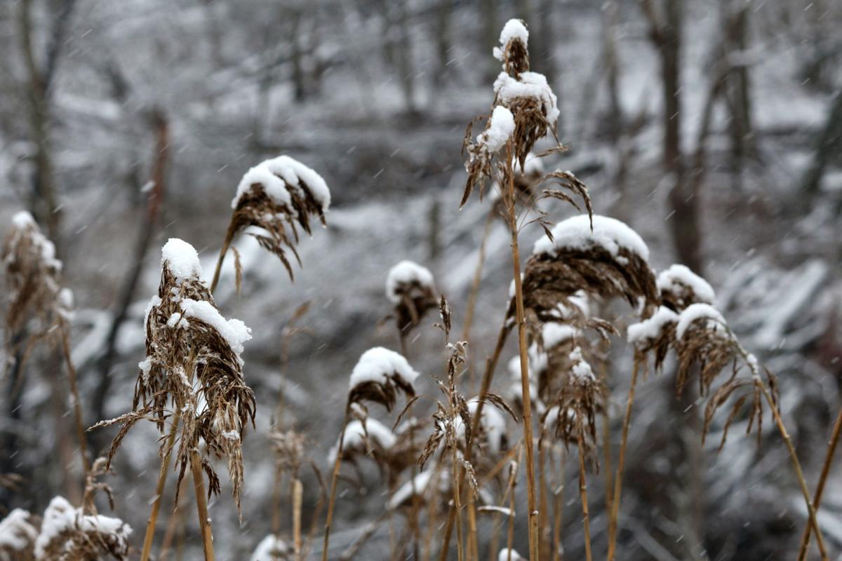 Updated Weather Will Get Colder Before Warming Up Next Week News Oleantimesherald Com