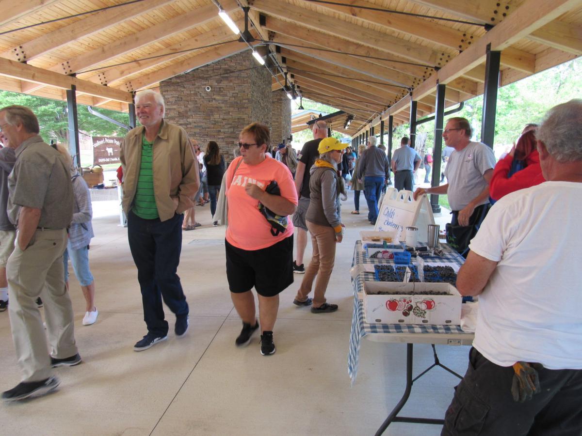Lincoln Square hosts Olean Farmers Market at ribbon cutting News