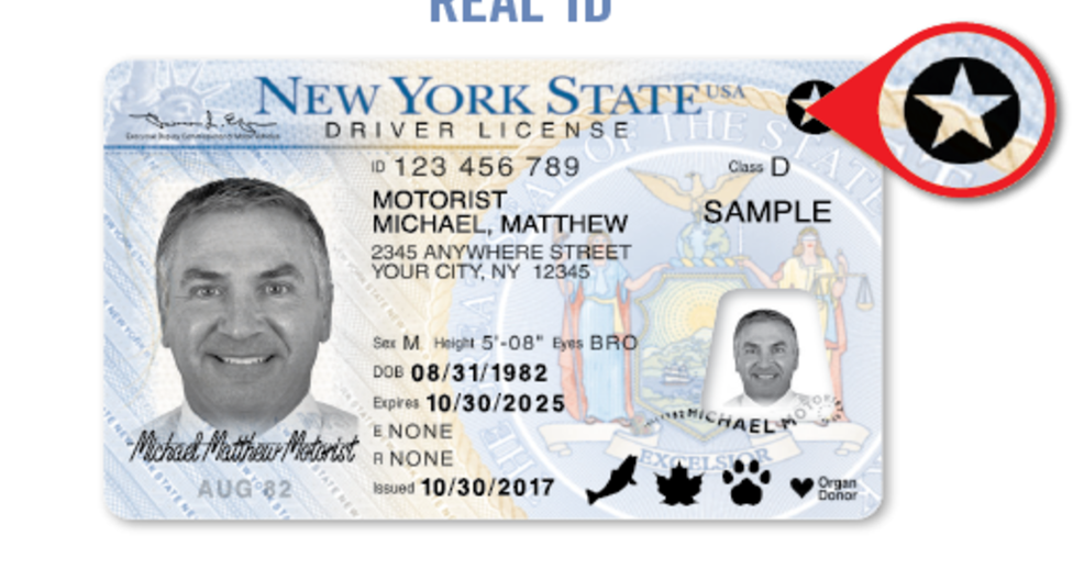 New York DMV  Buffalo Bills