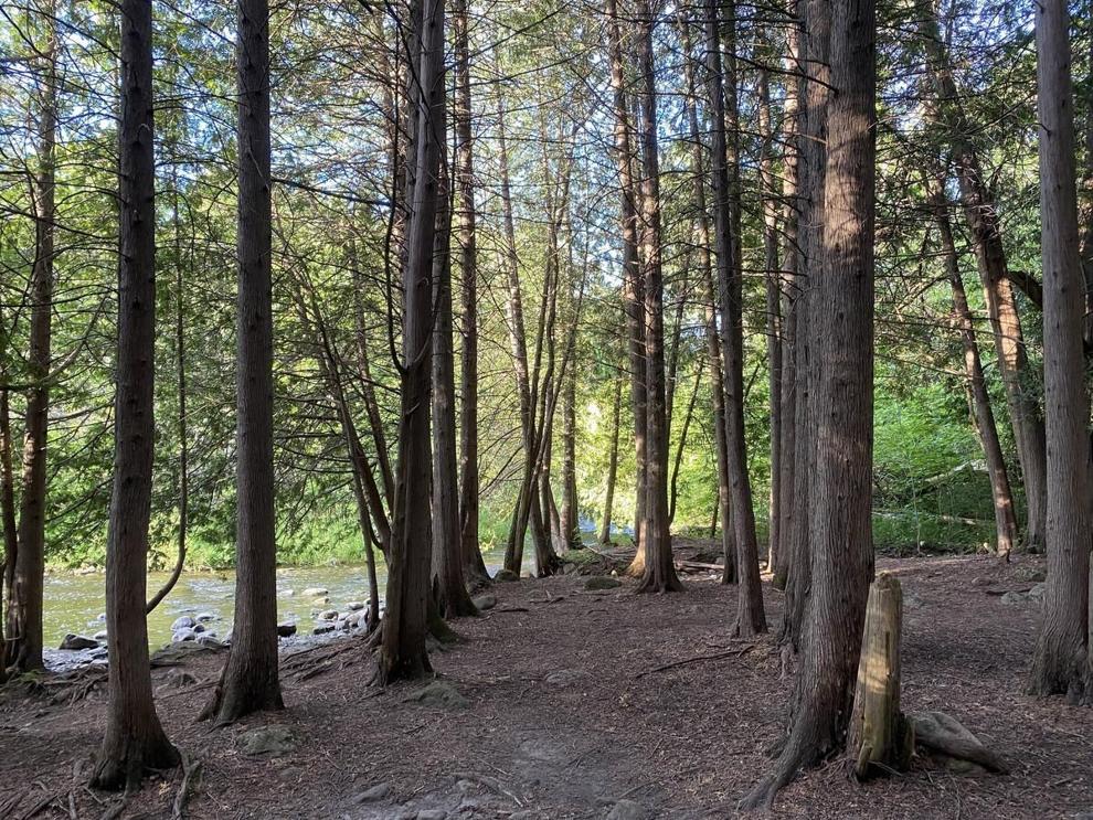 Hunting season in Dufferin County has begun