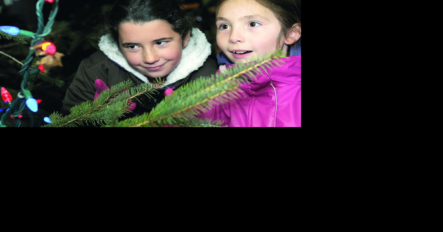 6 things you should know about Orangeville’s Christmas in the Park