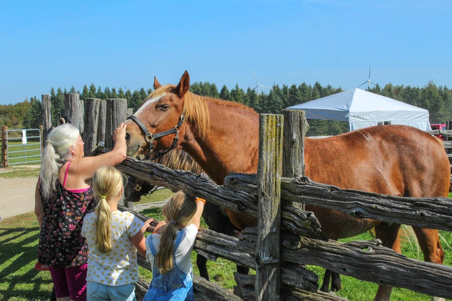 What’s going on in Dufferin County this weekend?