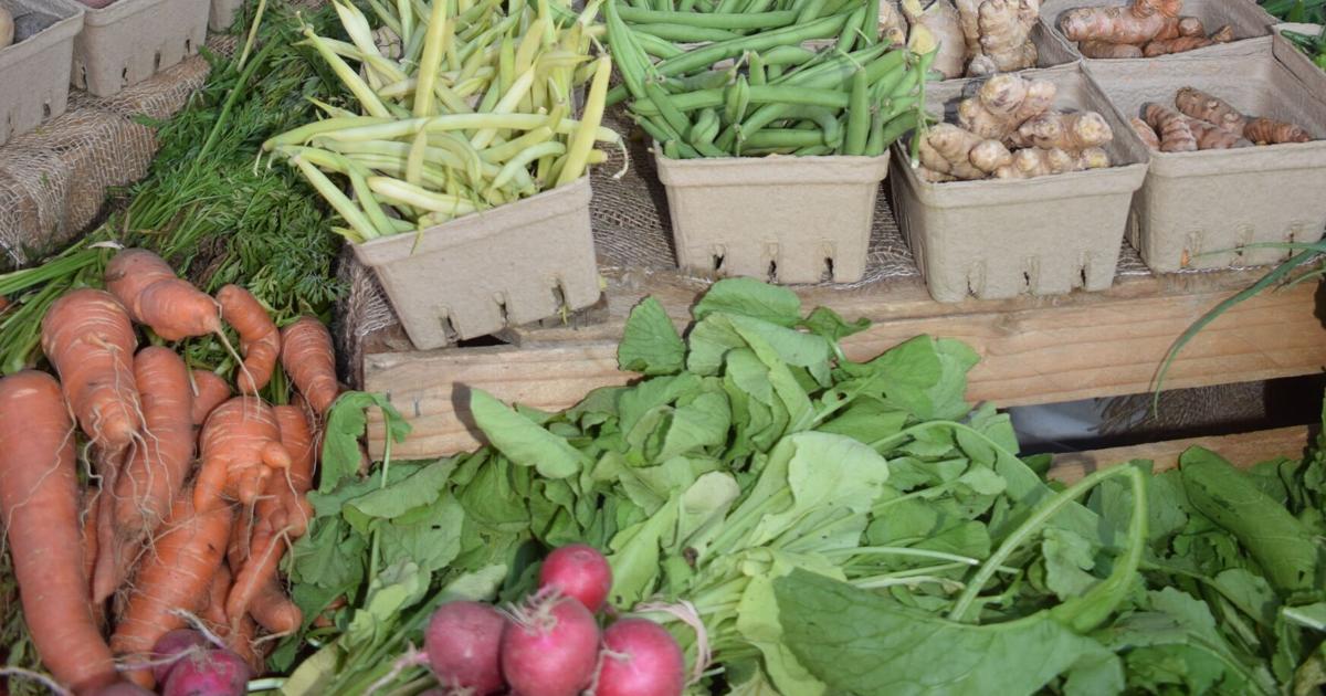 What is Canada's $3.2 billion National Food Security Strategy and will it lower grocery prices?