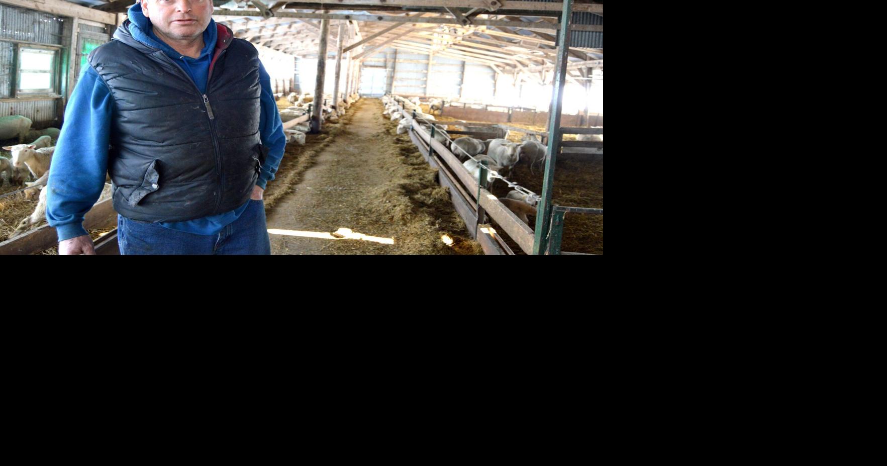 ‘The infrastructure isn’t there’ Dufferin County to ‘attack’ lack of