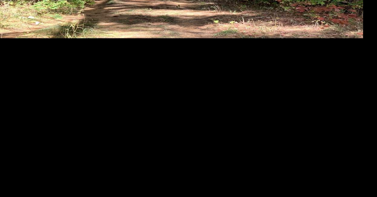 Dufferin County Forest archery deerhunting season has begun