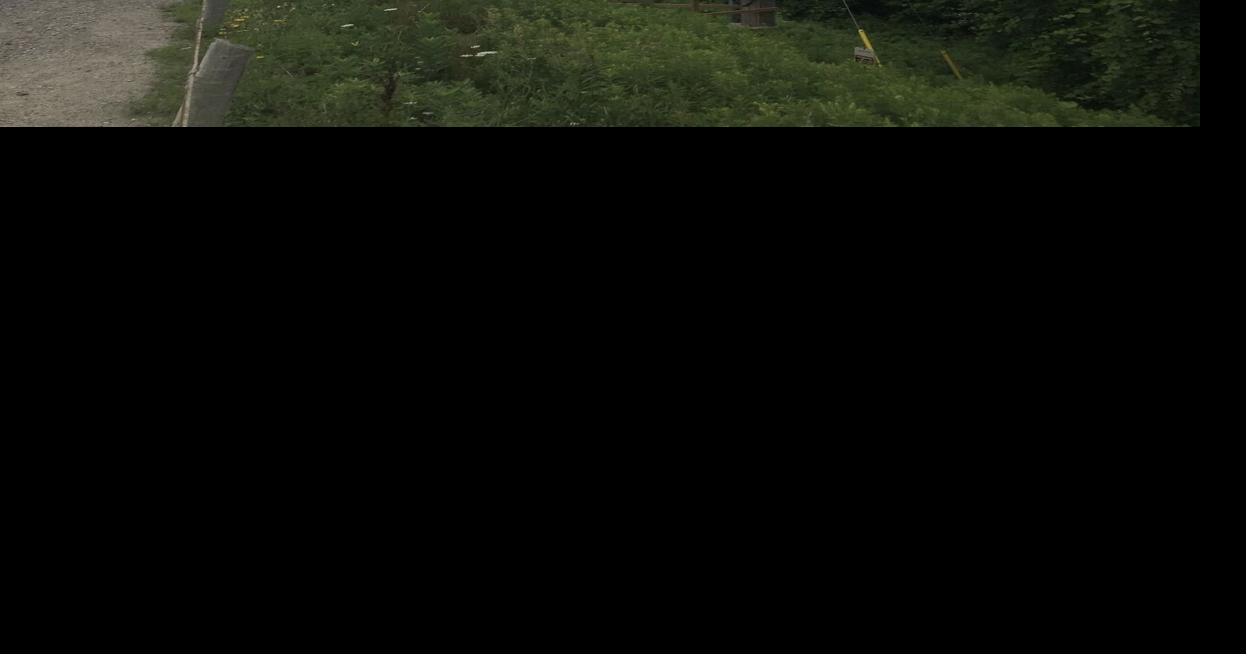 Orangeville Hydro brings new 27.6kV feeder online to handle demand