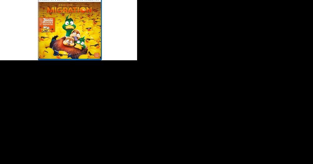 Animated movies and a series for kids of all ages! - Vimarsana News