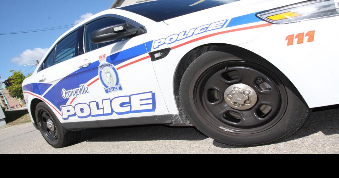 Posed decapitated rabbit found in Orangeville schoolyard