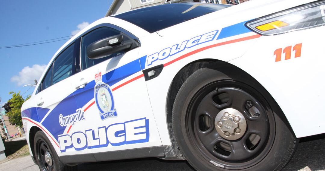 Posed decapitated rabbit found in Orangeville schoolyard